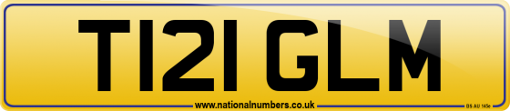 T121 GLM