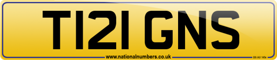 T121 GNS