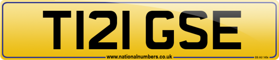 T121 GSE