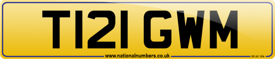 T121 GWM