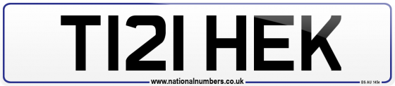 T121 HEK
