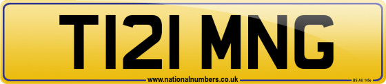 T121 MNG