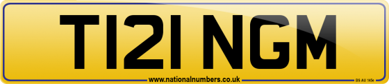 T121 NGM