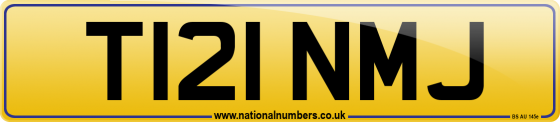 T121 NMJ