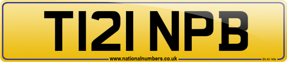 T121 NPB