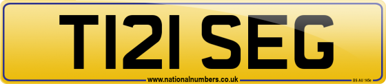 T121 SEG