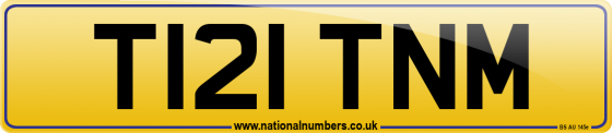 T121 TNM