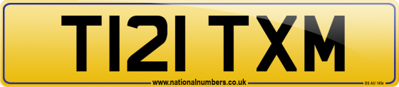 T121 TXM