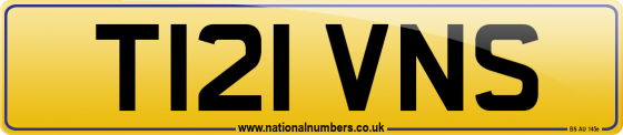T121 VNS