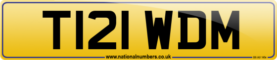 T121 WDM
