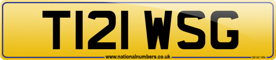 T121 WSG