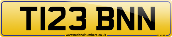 T123 BNN