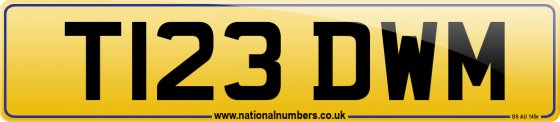 T123 DWM