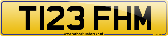 T123 FHM