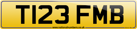 T123 FMB