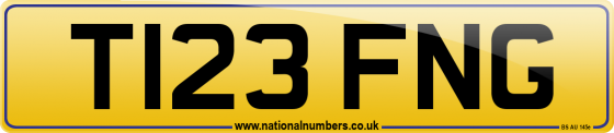T123 FNG