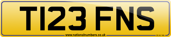 T123 FNS