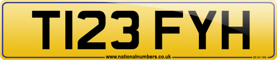 T123 FYH