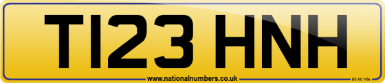 T123 HNH