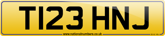 T123 HNJ