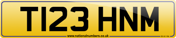 T123 HNM