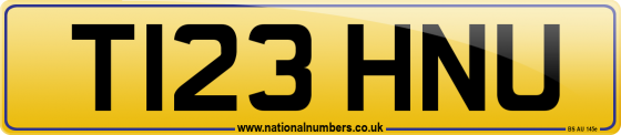T123 HNU