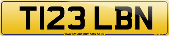T123 LBN