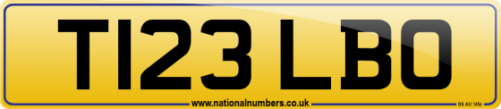 T123 LBO