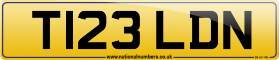 T123 LDN