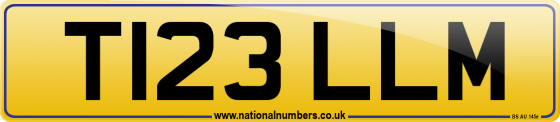 T123 LLM