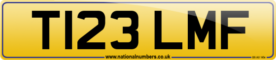 T123 LMF