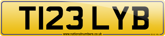 T123 LYB