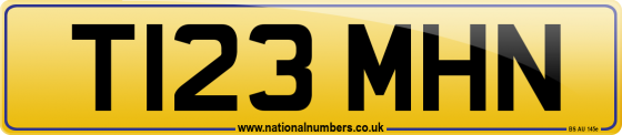 T123 MHN