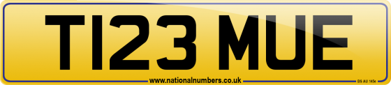 T123 MUE