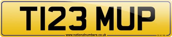 T123 MUP