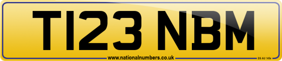 T123 NBM