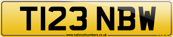 T123 NBW
