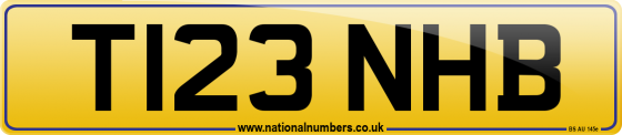 T123 NHB
