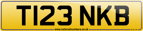 T123 NKB