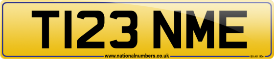 T123 NME