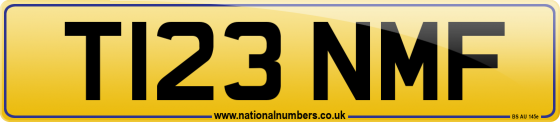 T123 NMF