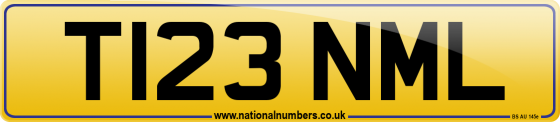 T123 NML