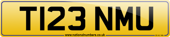 T123 NMU