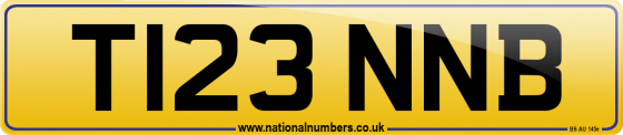 T123 NNB