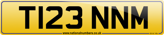T123 NNM