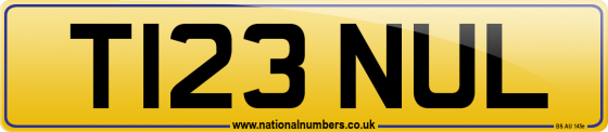 T123 NUL