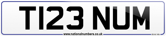 T123 NUM