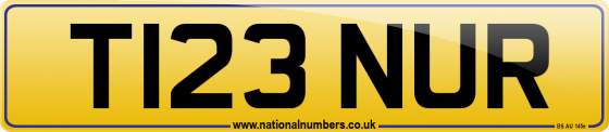 T123 NUR