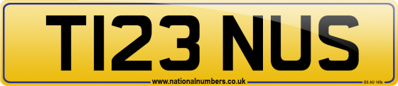 T123 NUS