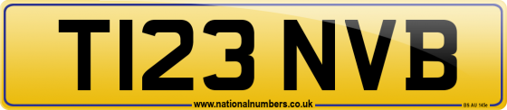 T123 NVB